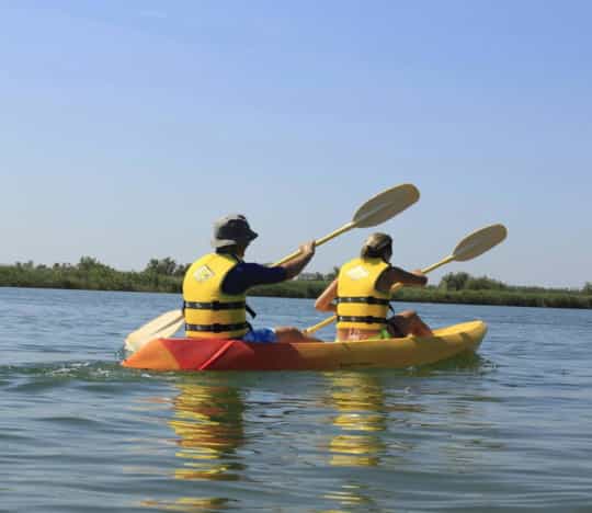 Alquiler de kayaks